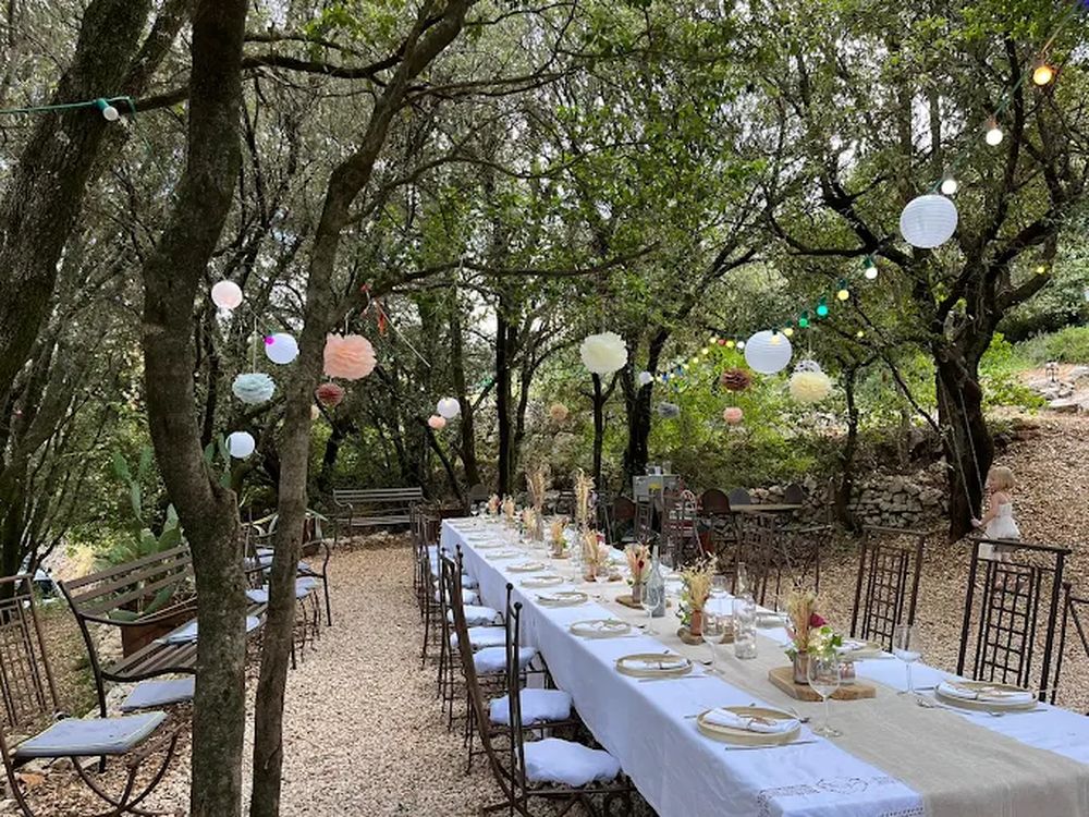 Long convivial table under the trees, lit with string lights
